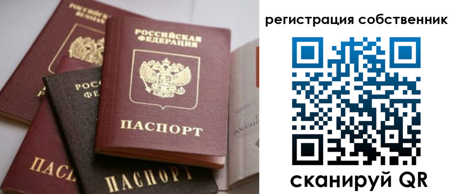 временная регистрация поиск в Сольцах